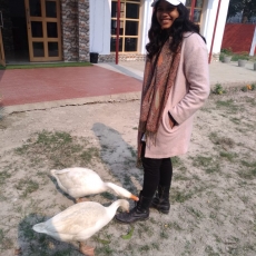 WhatsApp Image 2019-01-28 at 1.33.34 PM (2)